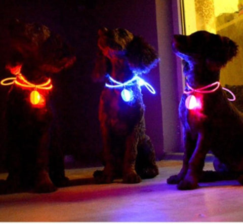 Buy one get one free pet supplies LED round pendant glowing pendant flashing jewelry pet supplies pet accessories